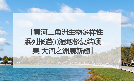 黄河三角洲生物多样性系列报道①湿地修复结硕果 大河之洲展新颜