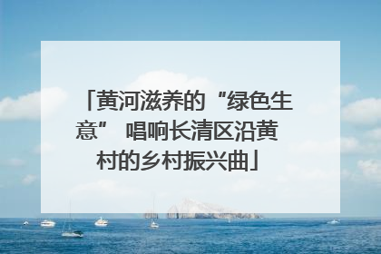 黄河滋养的“绿色生意” 唱响长清区沿黄村的乡村振兴曲