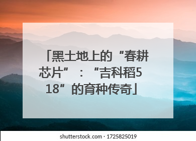 黑土地上的“春耕芯片”：“吉科稻518”的育种传奇