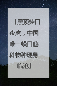 黑顶蛙口夜鹰，中国唯一蟆口鸱科物种现身临沧