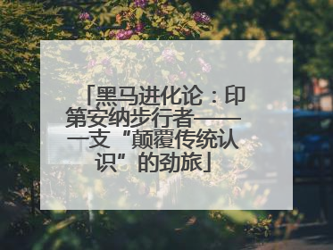 黑马进化论：印第安纳步行者——一支“颠覆传统认识”的劲旅