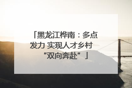 黑龙江桦南：多点发力 实现人才乡村“双向奔赴”