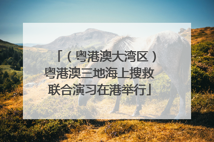 （粤港澳大湾区）粤港澳三地海上搜救联合演习在港举行