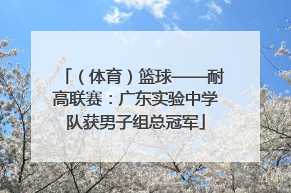 （体育）篮球——耐高联赛：广东实验中学队获男子组总冠军