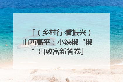 （乡村行·看振兴）山西高平：小辣椒“椒”出致富新答卷