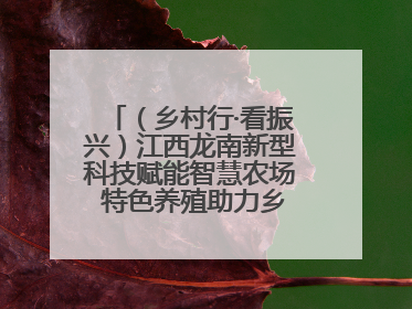 （乡村行·看振兴）江西龙南新型科技赋能智慧农场 特色养殖助力乡村振兴