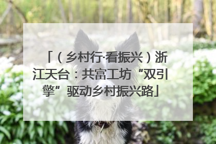（乡村行·看振兴）浙江天台：共富工坊“双引擎”驱动乡村振兴路