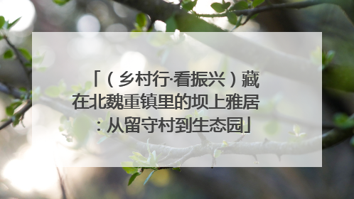 （乡村行·看振兴）藏在北魏重镇里的坝上雅居：从留守村到生态园