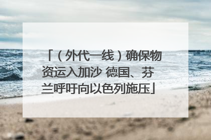 （外代一线）确保物资运入加沙 德国、芬兰呼吁向以色列施压