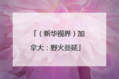 （新华视界）加拿大：野火蔓延