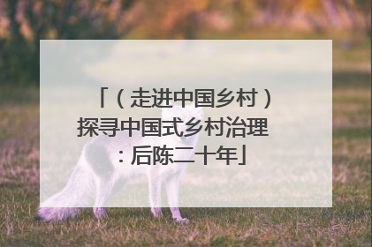 （走进中国乡村）探寻中国式乡村治理：后陈二十年
