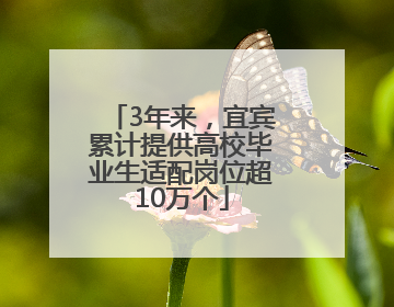 3年来，宜宾累计提供高校毕业生适配岗位超10万个