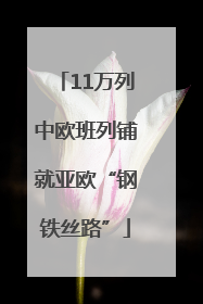 11万列中欧班列铺就亚欧“钢铁丝路”
