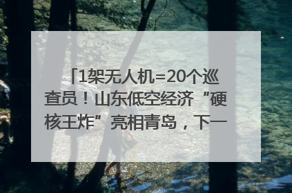 1架无人机=20个巡查员！山东低空经济“硬核王炸”亮相青岛，下一个万亿赛道藏在这里