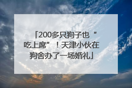 200多只狗子也“吃上席”！天津小伙在狗舍办了一场婚礼