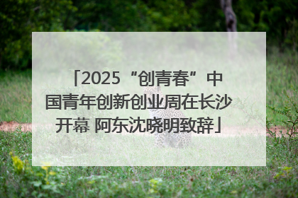 2025“创青春”中国青年创新创业周在长沙开幕 阿东沈晓明致辞