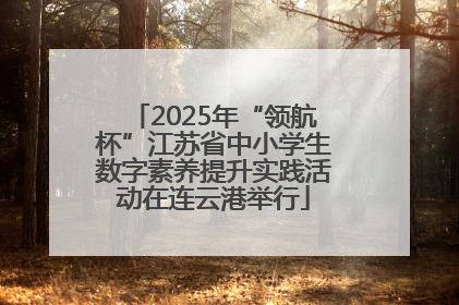 2025年“领航杯”江苏省中小学生数字素养提升实践活动在连云港举行