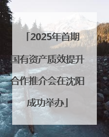 2025年首期国有资产质效提升合作推介会在沈阳成功举办