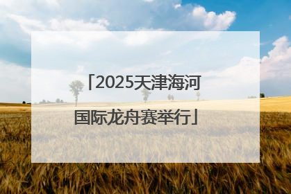 2025天津海河国际龙舟赛举行