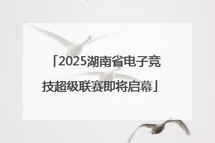2025湖南省电子竞技超级联赛即将启幕