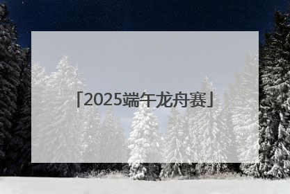 2025端午龙舟赛