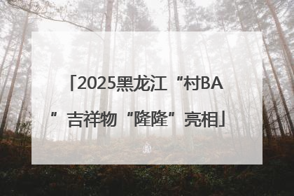 2025黑龙江“村BA”吉祥物“隆隆”亮相