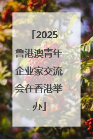 2025鲁港澳青年企业家交流会在香港举办