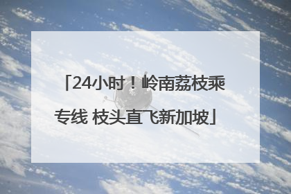 24小时！岭南荔枝乘专线 枝头直飞新加坡