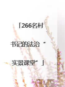 266名村书记的法治“实景课堂”