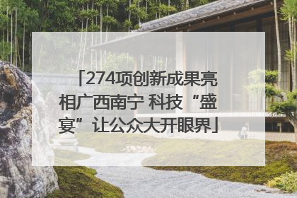 274项创新成果亮相广西南宁 科技“盛宴”让公众大开眼界