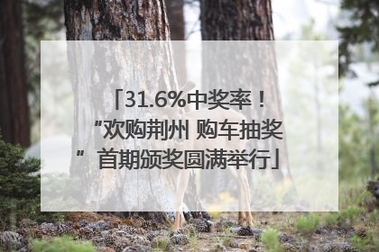 31.6%中奖率！“欢购荆州 购车抽奖”首期颁奖圆满举行