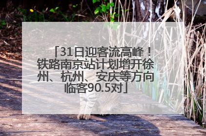 31日迎客流高峰！铁路南京站计划增开徐州、杭州、安庆等方向临客90.5对