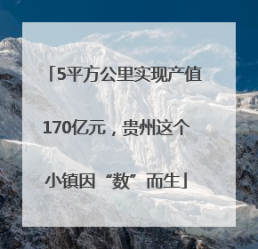 5平方公里实现产值170亿元，贵州这个小镇因“数”而生