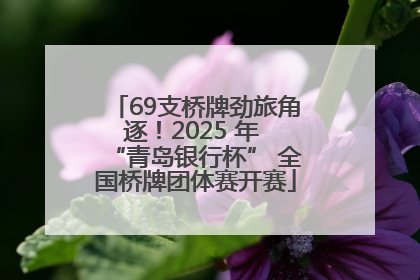 69支桥牌劲旅角逐！2025 年 “青岛银行杯” 全国桥牌团体赛开赛