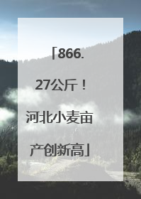 866.27公斤！河北小麦亩产创新高