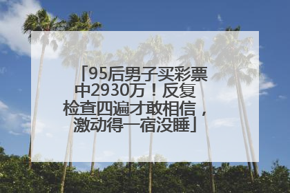 95后男子买彩票中2930万！反复检查四遍才敢相信，激动得一宿没睡