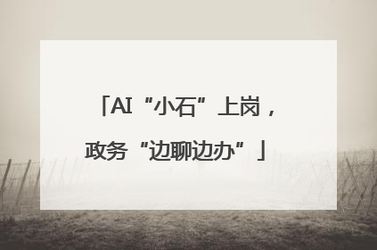 AI“小石”上岗，政务“边聊边办”