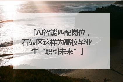 AI智能匹配岗位，石鼓区这样为高校毕业生“职引未来”