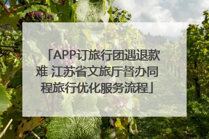 APP订旅行团遇退款难 江苏省文旅厅督办同程旅行优化服务流程