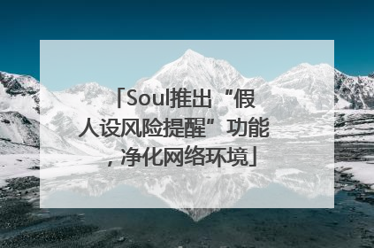 Soul推出“假人设风险提醒”功能，净化网络环境
